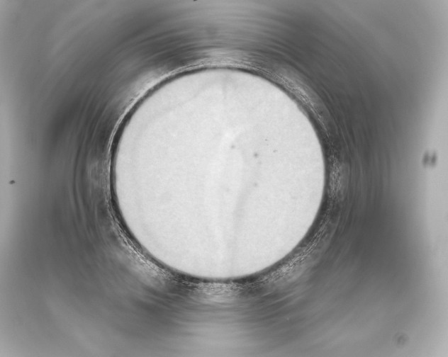 X0000093370836200711011226