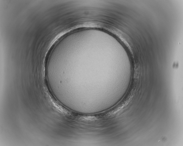 X0000093370837200711011226