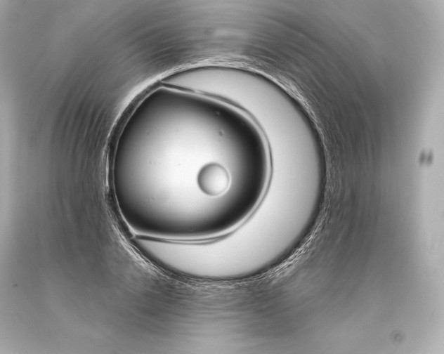 X0000093370838200711011226