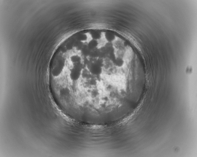 X0000093370839200711011226