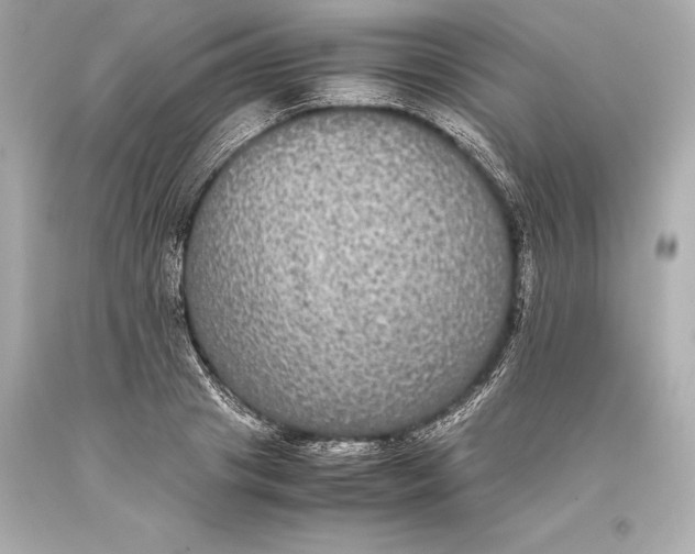 X0000093370841200711011226