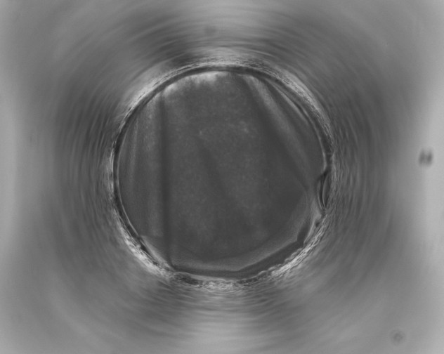 X0000093370842200711011226