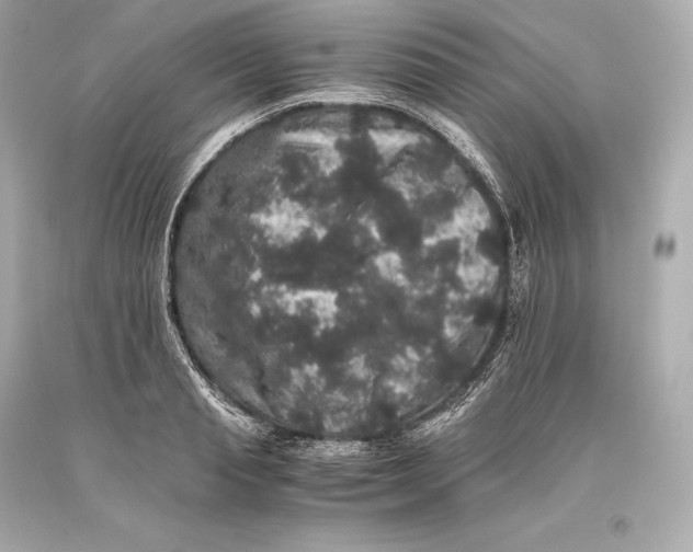 X0000093370845200711011226