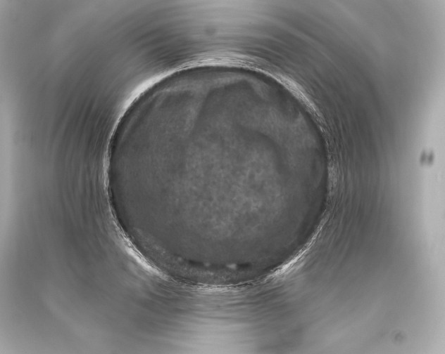 X0000093370846200711011227