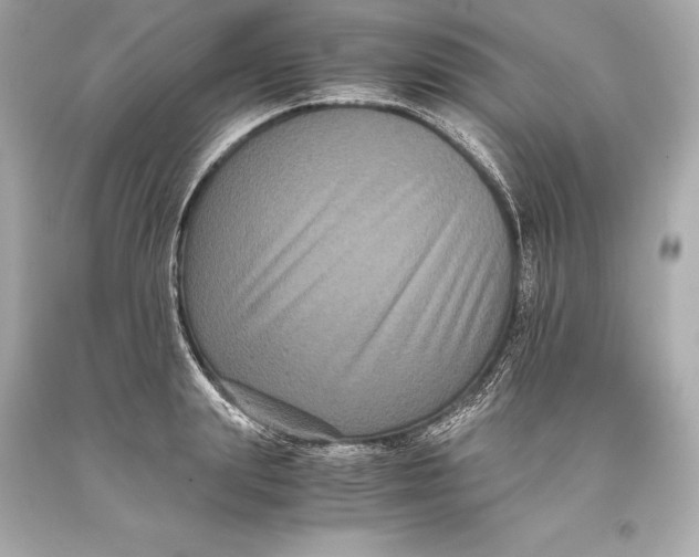 X0000093370847200711011227