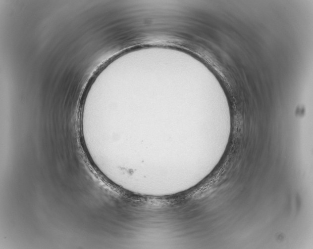 X0000093370848200711011227