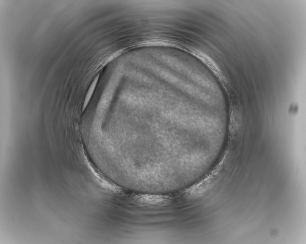 X0000093370849200711011227