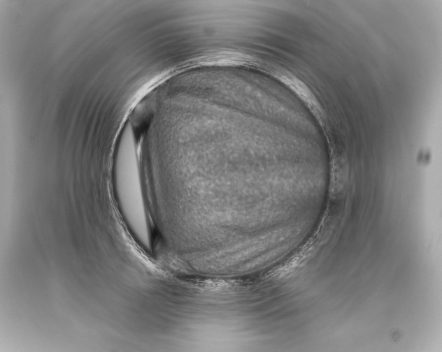 X0000093370850200711011227