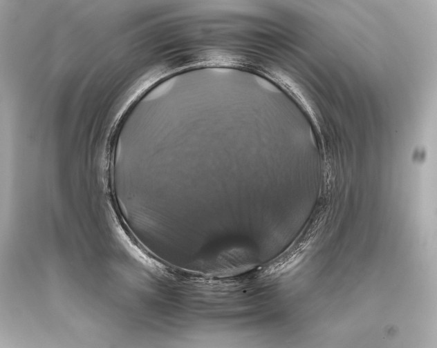 X0000093370851200711011227