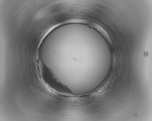 X0000093370852200711011227