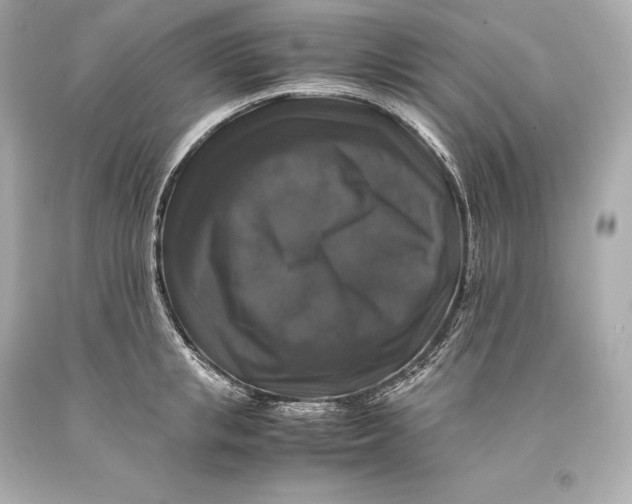 X0000093370853200711011227