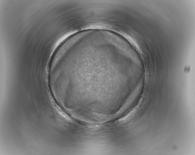 X0000093370854200711011227