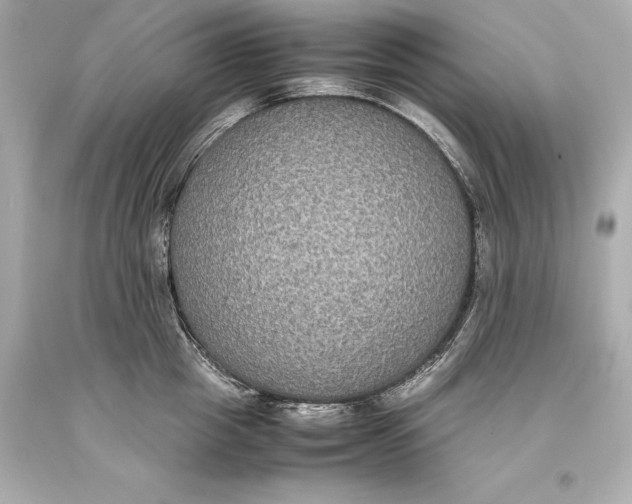 X0000093370857200711011227