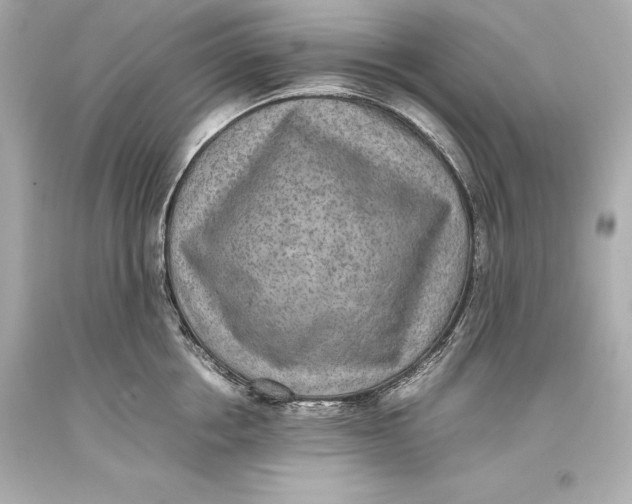 X0000093370858200711011227