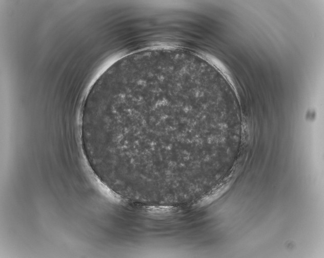 X0000093370859200711011227