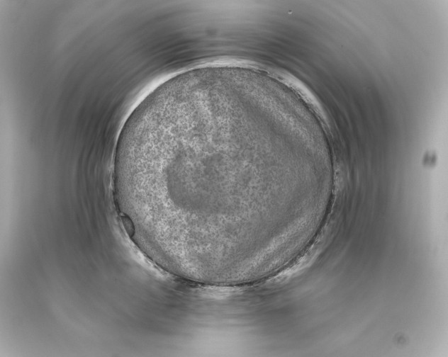 X0000093370860200711011227