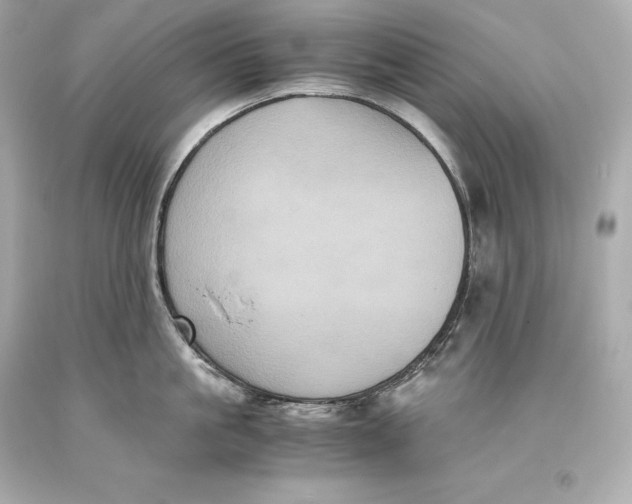 X0000093370861200711011227