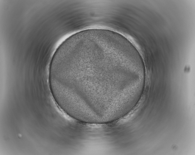 X0000093370862200711011227