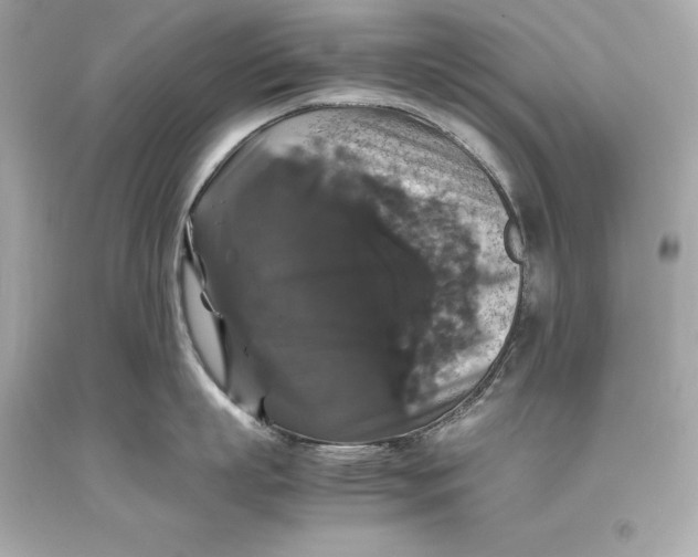 X0000093370863200711011227