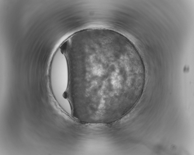 X0000093370864200711011227