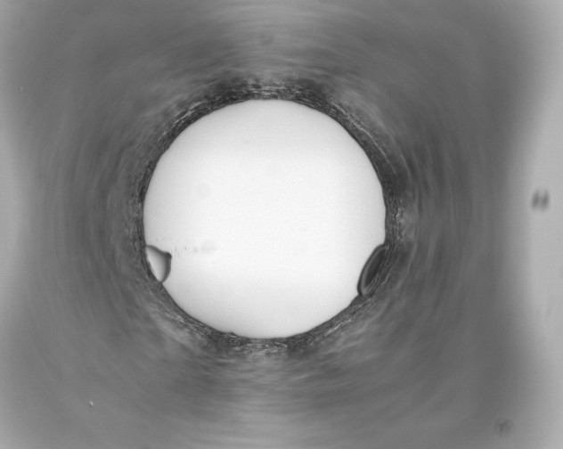 X0000093370865200711011226