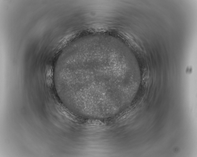 X0000093370866200711011226