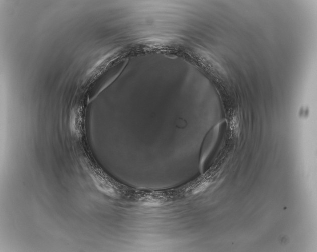 X0000093370868200711011226