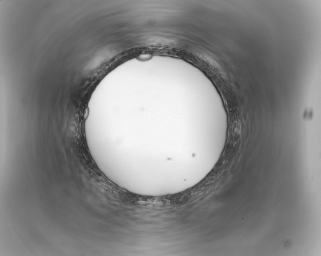 X0000093370869200711011226