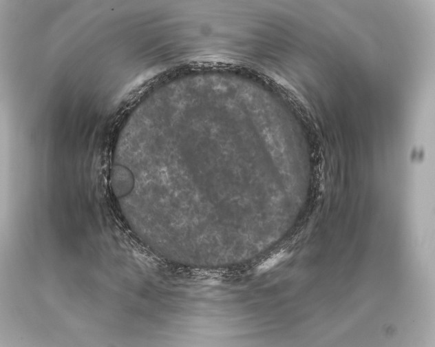 X0000093370870200711011226