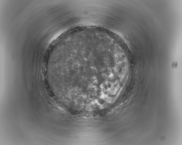 X0000093370871200711011226