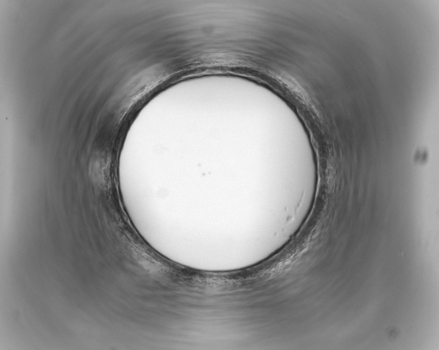 X0000093370873200711011226