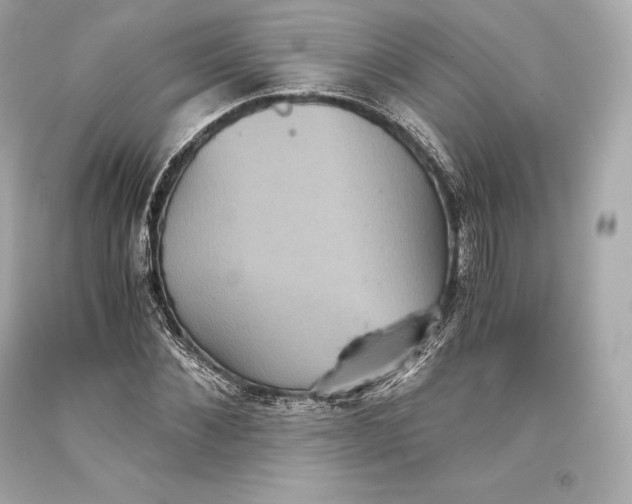 X0000093370876200711011226