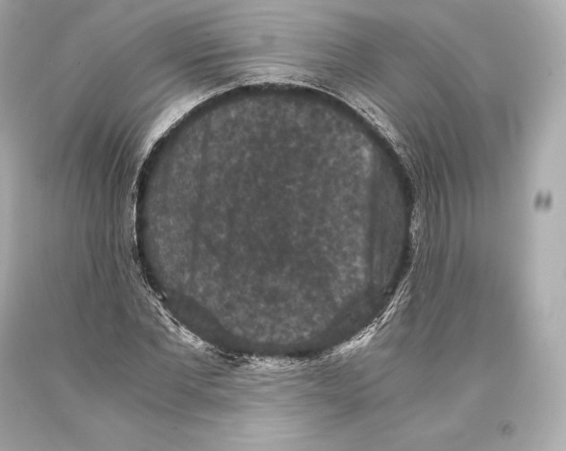 X0000093370877200711011226