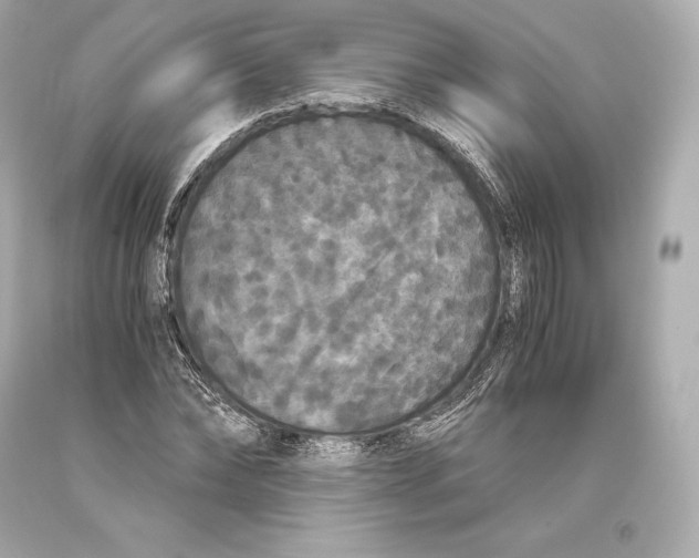 X0000093370878200711011226