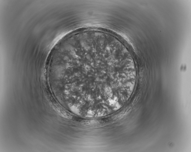 X0000093370879200711011226