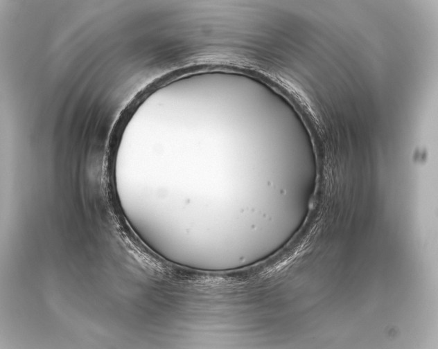 X0000093370880200711011226