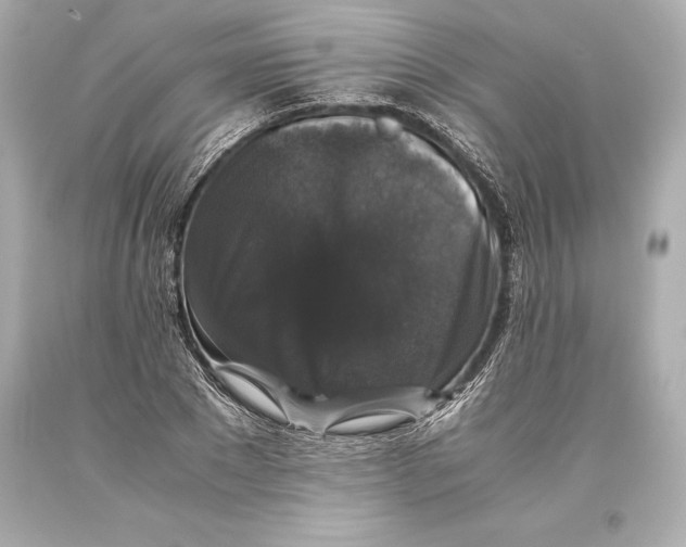 X0000093370881200711011226