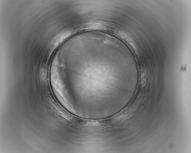 X0000093370882200711011226