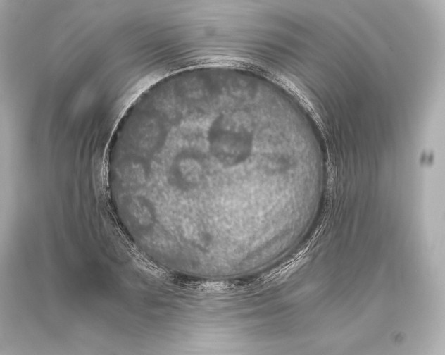 X0000093370883200711011226