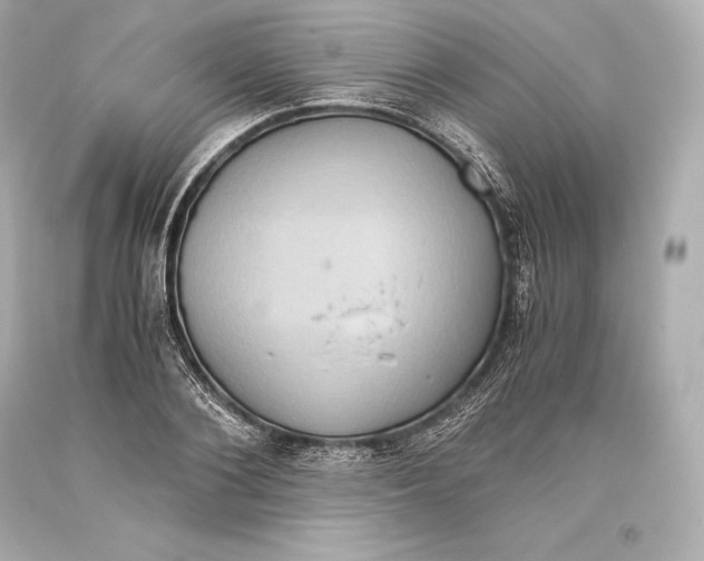 X0000093370884200711011226