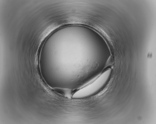 X0000093370885200711011226