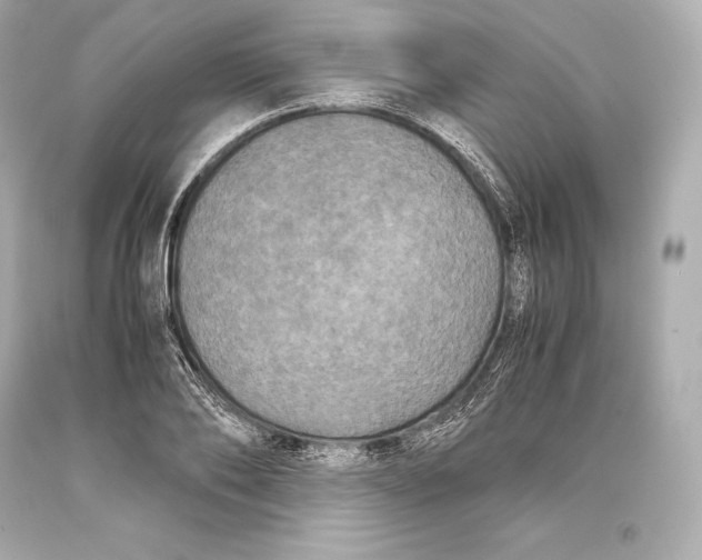 X0000093370886200711011226