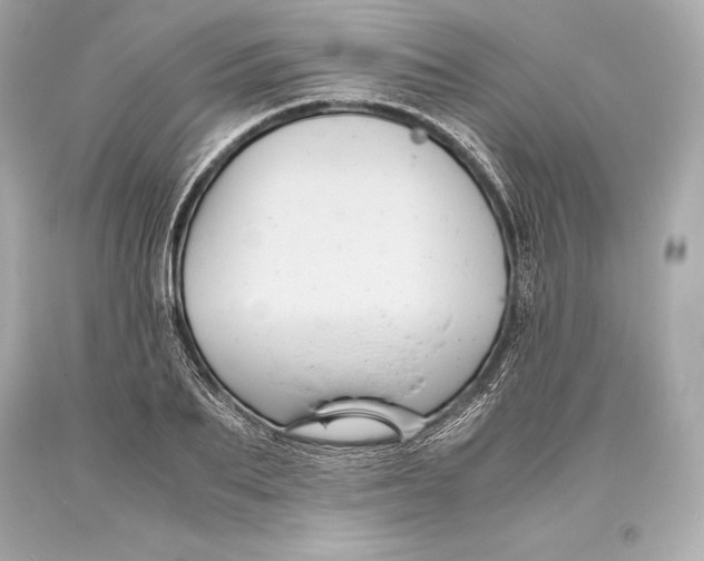 X0000093370887200711011226