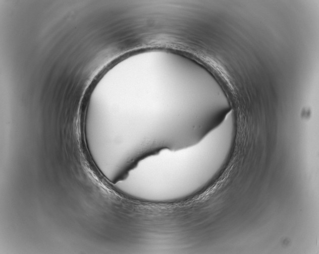 X0000093370888200711011226