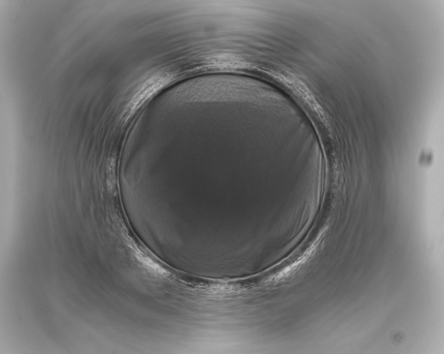 X0000093370889200711011226