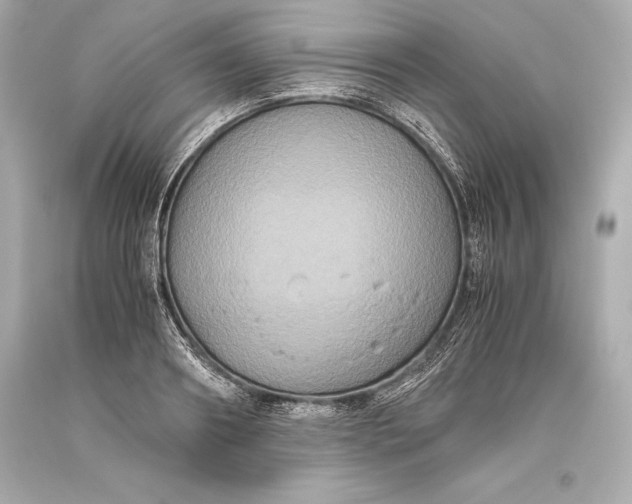 X0000093370890200711011226