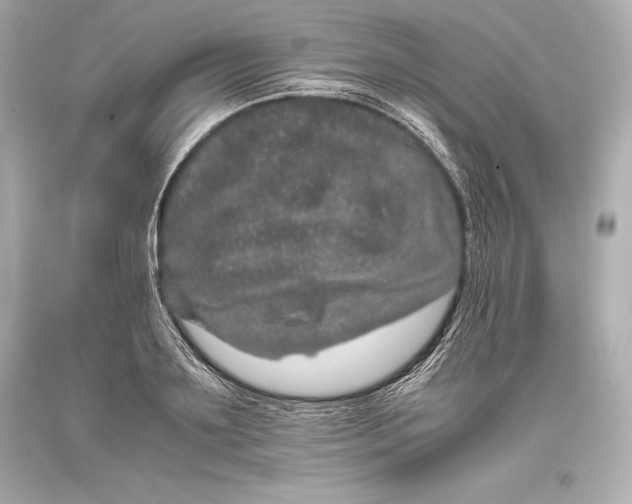 X0000093370891200711011226