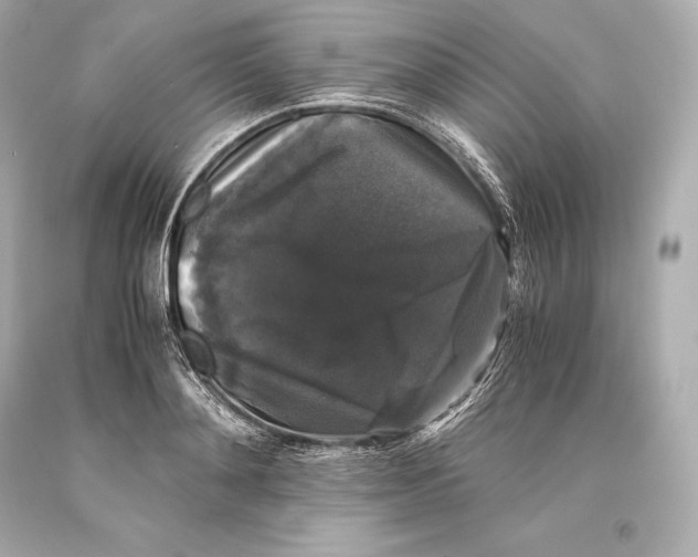 X0000093370892200711011225