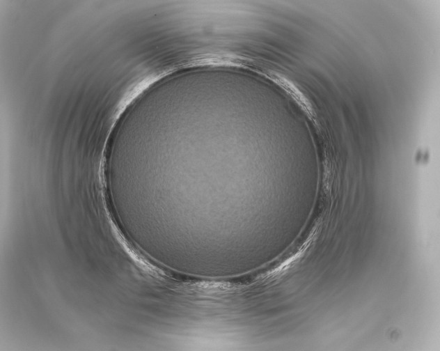 X0000093370893200711011225