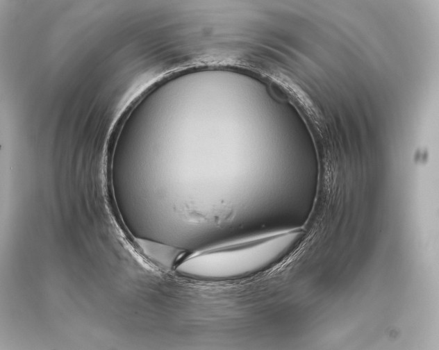 X0000093370894200711011225